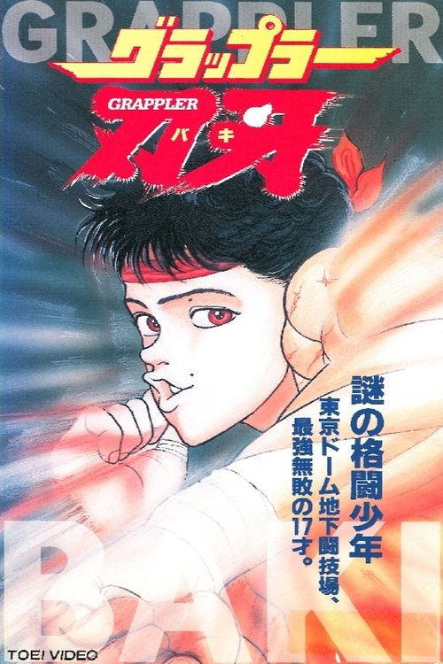 Póster de グラップラー刃牙