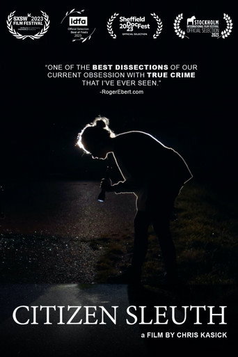 Póster de Citizen Sleuth