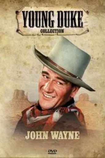 Póster de Fugitive