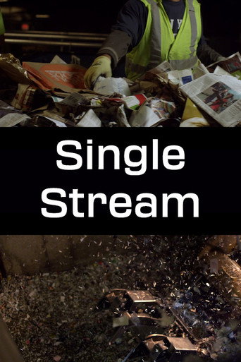 Póster de Single Stream