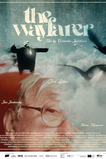 Póster de Cestovatel
