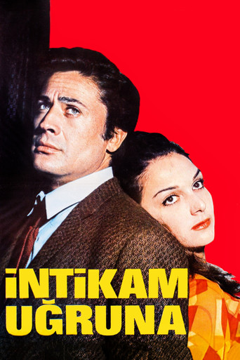 Póster de İntikam Uğruna