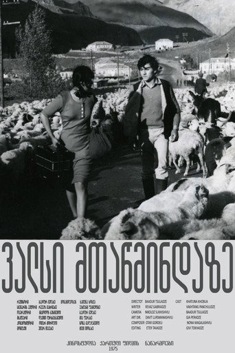 Póster de ვალსი მთაწმინდაზე