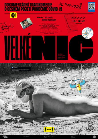 Póster de Velké nic