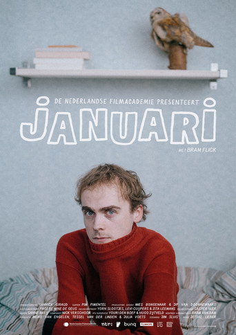 Póster de Januari