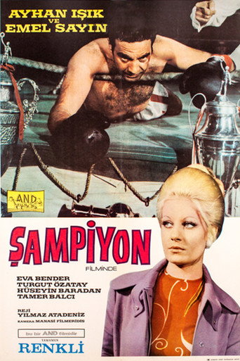Póster de Şampiyon