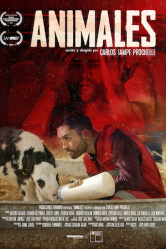 Póster de Animales