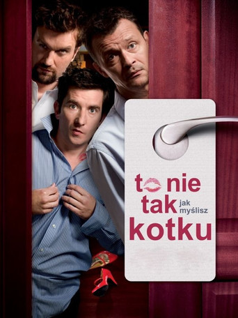 Póster de To nie tak jak myślisz kotku