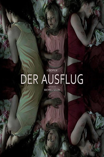 Póster de Der Ausflug