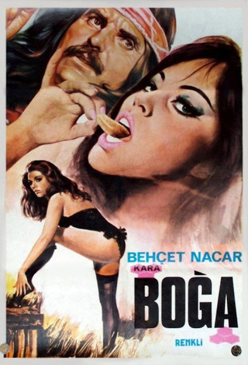 Póster de Kara Boğa
