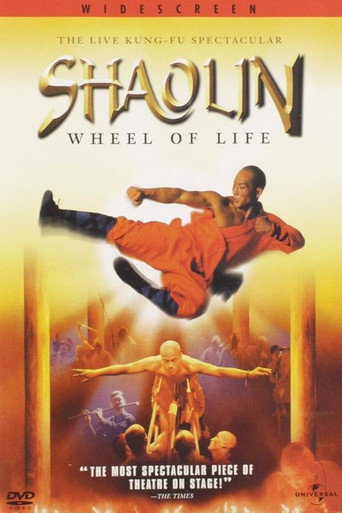 Póster de Shaolin: Wheel of Life