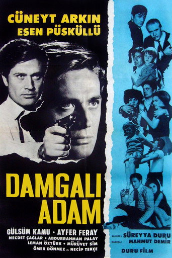 Póster de Damgalı Adam