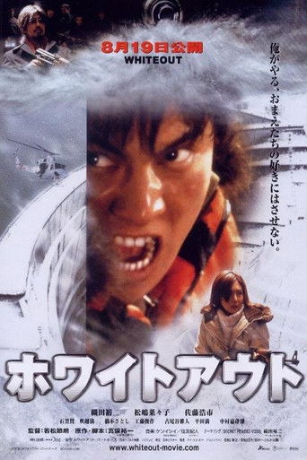 Póster de Whiteout