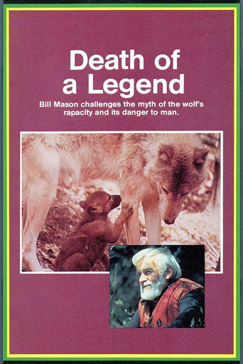 Póster de Death of a Legend
