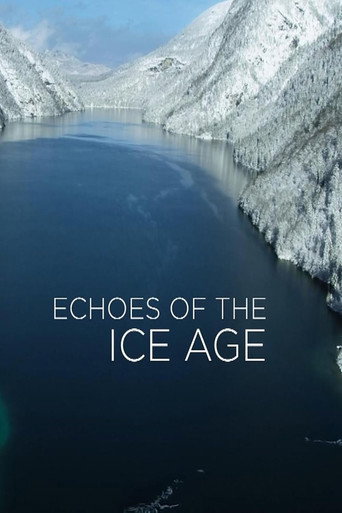 Póster de Echoes of the Ice Age