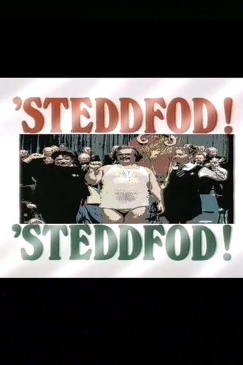 Póster de Steddfod! Steddfod!
