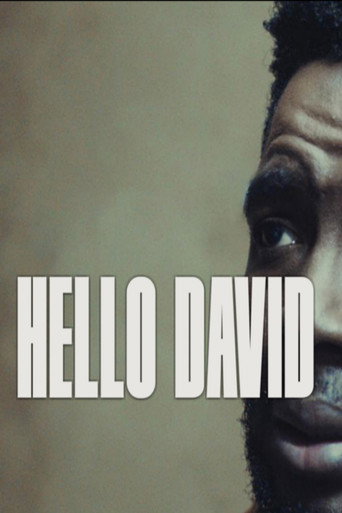 Póster de Hello David