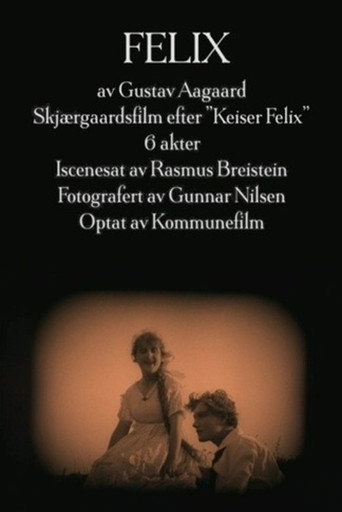 Póster de Felix