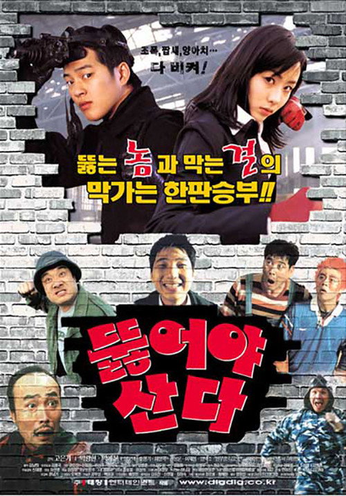 Póster de 뚫어야 산다