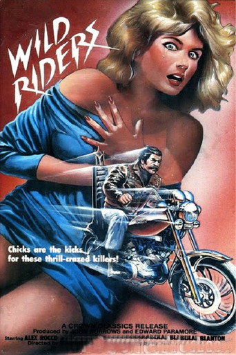 Póster de Wild Riders