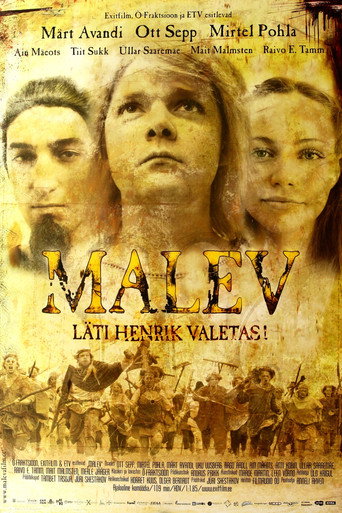 Póster de Malev