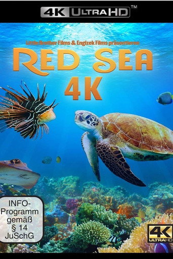 Póster de Red Sea