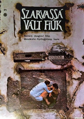 Póster de Szarvassá vált fiúk