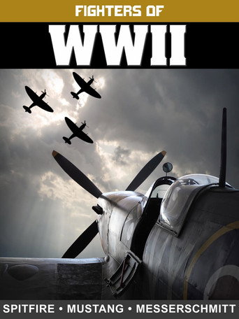 Póster de Fighters of WWII: Spitfire, Mustang, and Messerschmitt
