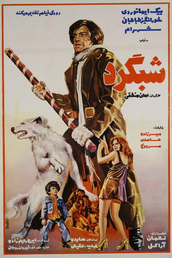 Póster de شبگرد
