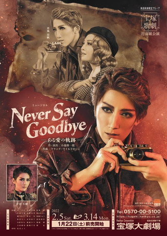Póster de Never Say Goodbye