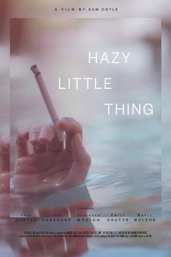 Póster de Hazy Little Thing