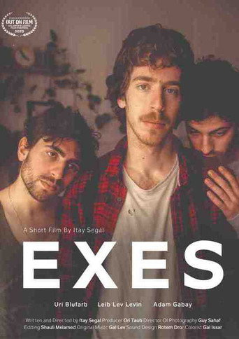 Póster de Exes