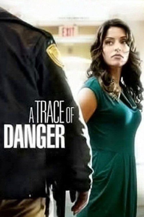 Póster de A Trace of Danger