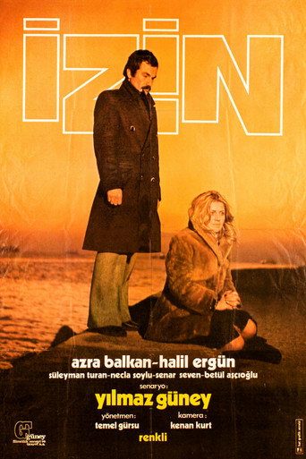 Póster de İzin