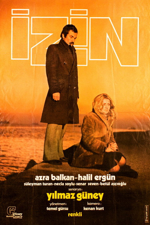 Póster de İzin