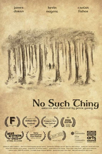 Póster de No Such Thing
