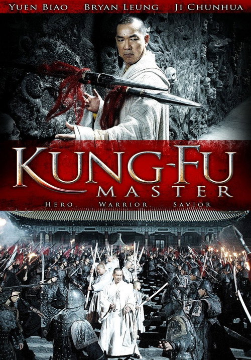 Póster de 功夫大師