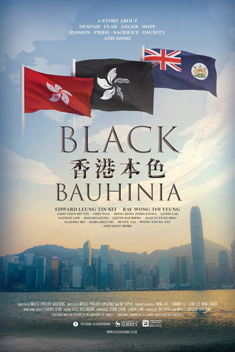 Póster de 香港本色