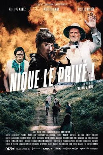 Póster de Nique le privé !