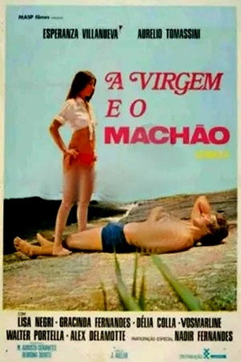 Póster de A Virgem e o Machão