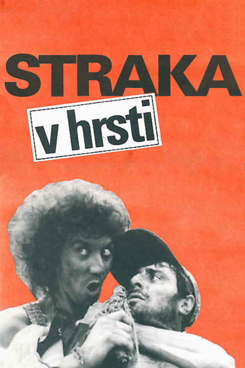 Póster de Straka v hrsti