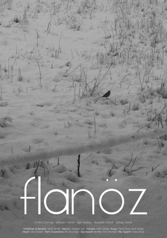 Póster de Flanöz