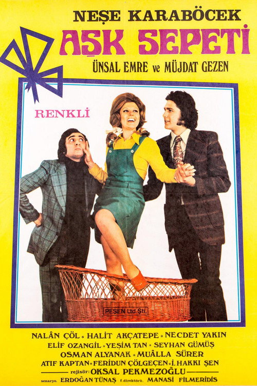 Póster de Aşk Sepeti