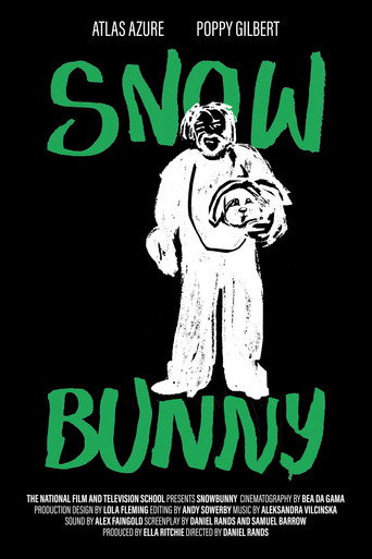 Póster de Snowbunny