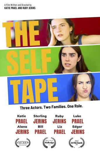 Póster de The Self Tape