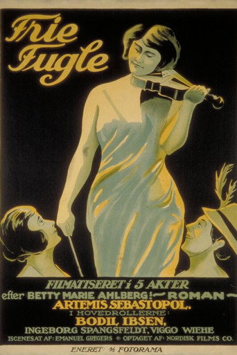 Póster de Frie Fugle