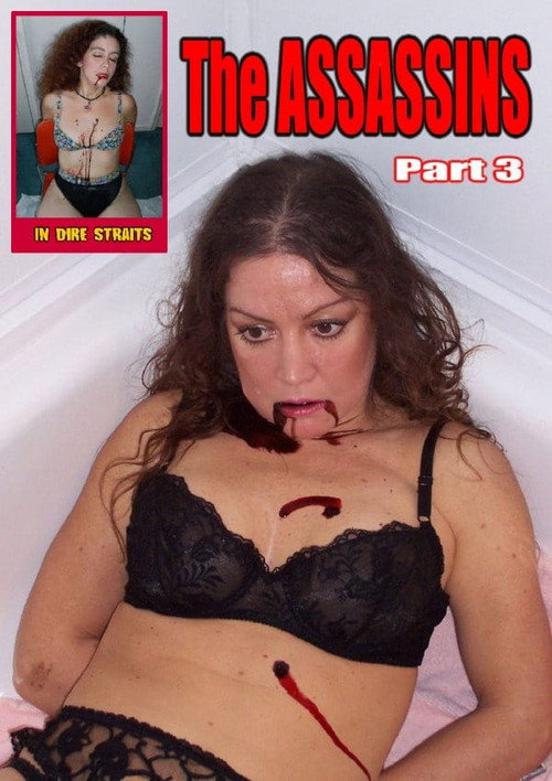 Póster de The Assassins Part 3