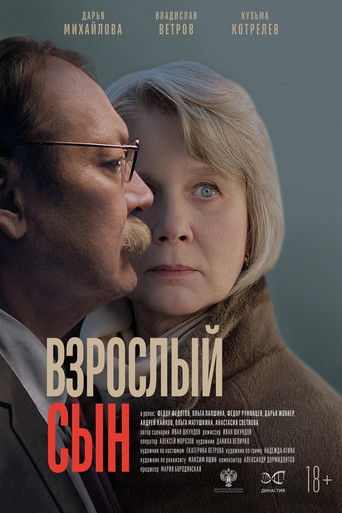Póster de The Adult Son