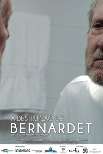 Póster de A Destruição de Bernardet
