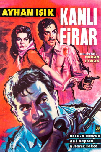 Póster de Kanlı Firar